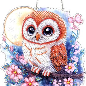 acrylic owl diamond painting