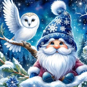 owl gnome diamond painting